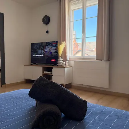 Apartment Sejour Lumineux & Calme En Plein Coeur D'angers