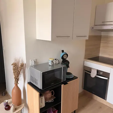 Apartment Sejour Lumineux & Calme En Plein Coeur D'angers