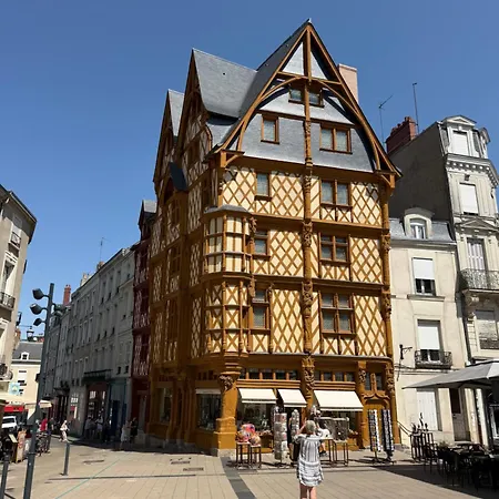 Appartement Sejour Lumineux & Calme En Plein Coeur D'angers *